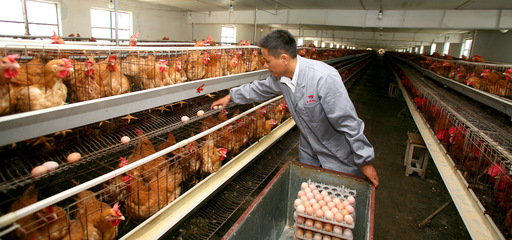 打造品牌優勢，推動特色農產品上行 農產品生產端的戰略思維
